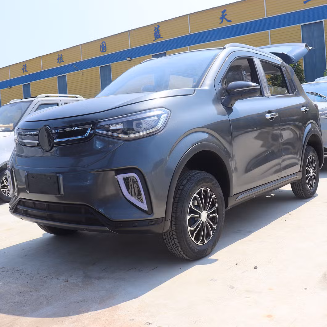 Charging Time 5-10h 45km/H Electric Commercial Vehicle Electric UTV Utility Vehicle Electric Vehicles for Elderly