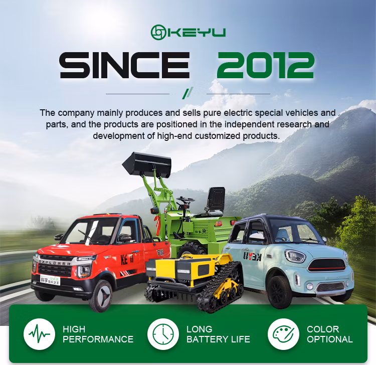 Charging Time 5-10h 45km/H Electric Commercial Vehicle Electric UTV Utility Vehicle Electric Vehicles for Elderly