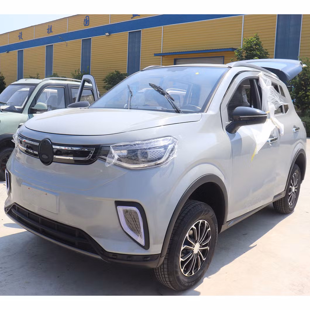 Charging Time 5-10h 45km/H Electric Commercial Vehicle Electric UTV Utility Vehicle Electric Vehicles for Elderly