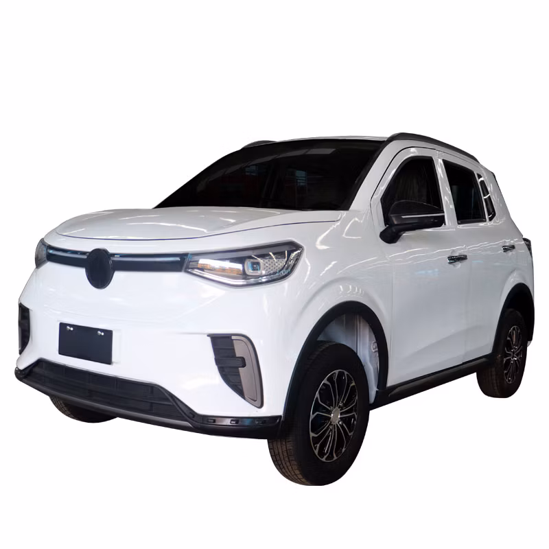 Charging Time 5-10h 45km/H Electric Commercial Vehicle Electric UTV Utility Vehicle Electric Vehicles for Elderly