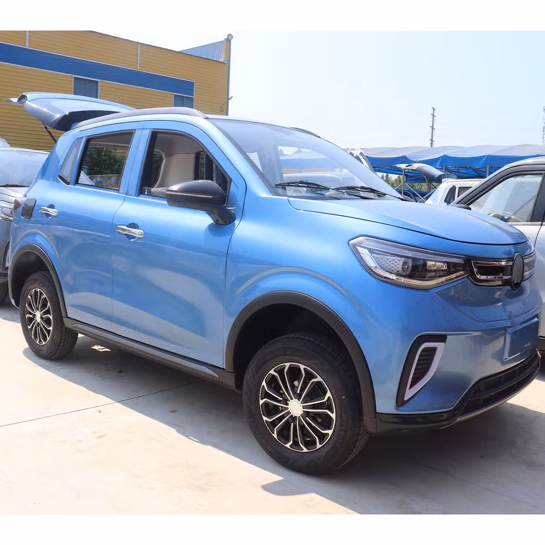 Charging Time 5-10h 45km/H Electric Commercial Vehicle Electric UTV Utility Vehicle Electric Vehicles for Elderly