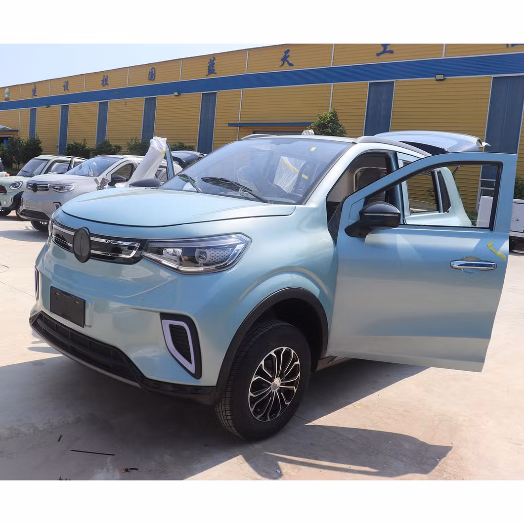 Charging Time 5-10h 45km/H Electric Commercial Vehicle Electric UTV Utility Vehicle Electric Vehicles for Elderly