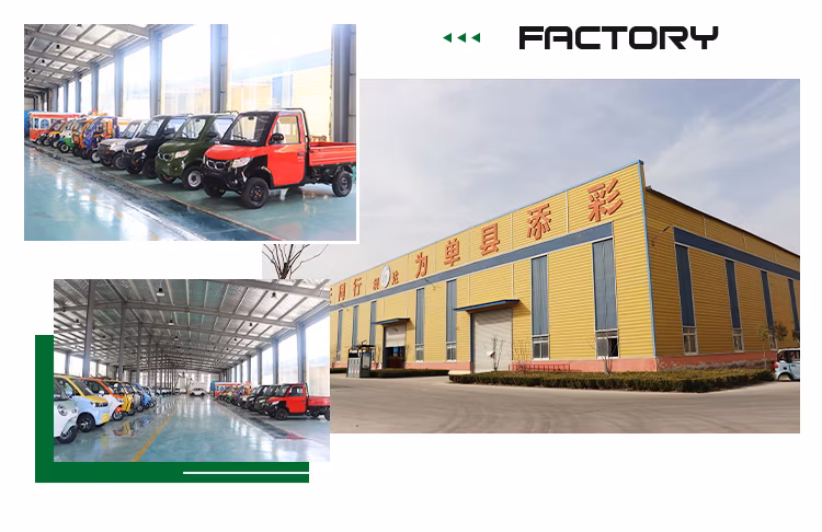 Charging Time 5-10h 45km/H Electric Commercial Vehicle Electric UTV Utility Vehicle Electric Vehicles for Elderly