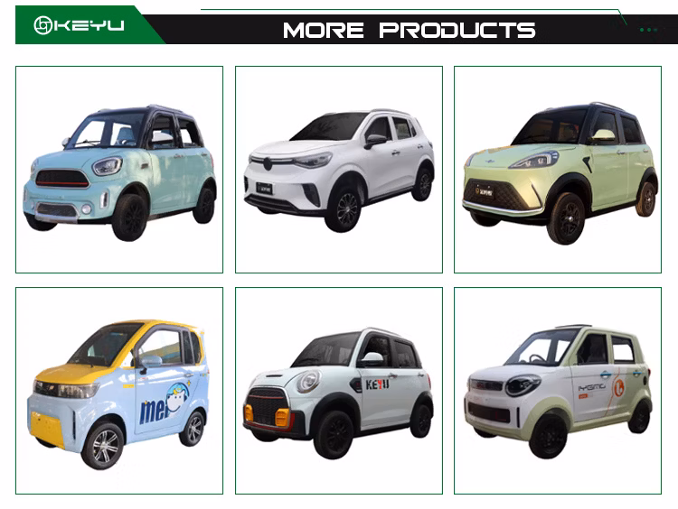 Charging Time 5-10h 45km/H Electric Commercial Vehicle Electric UTV Utility Vehicle Electric Vehicles for Elderly