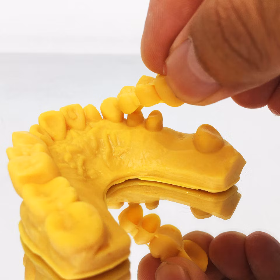 3D UV-Curing Dental Medical Care Resin 405nm Dental Model Resin with Lower Shrinkage &amp; High Precision 3D Slp/LCD Printers Easy-Print Dental Resin 1000g