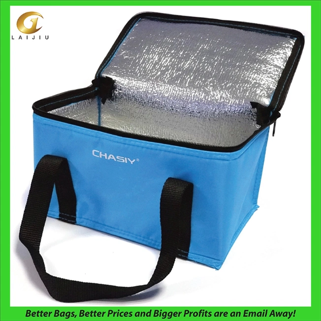 Insulated Promotional Can Cooler Bags for Food Package, Insulated Picnic Lunch Bag Large Soft Cooler Bag for Outdoor/Camping/BBQ/Travel