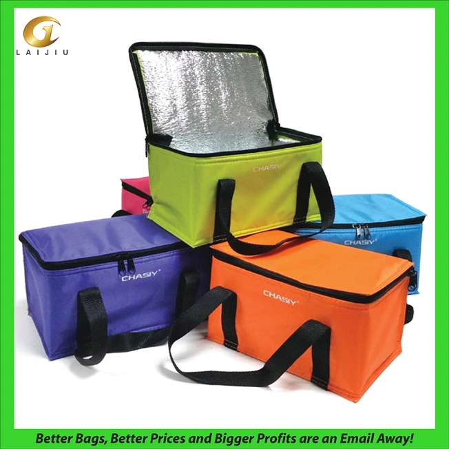 Insulated Promotional Can Cooler Bags for Food Package, Insulated Picnic Lunch Bag Large Soft Cooler Bag for Outdoor/Camping/BBQ/Travel