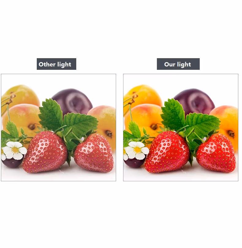 Hot Selling LED Light Bulb White 2835 LED Lamp E27/B22 Light Bulb Lamp Aluminum LED House Bulbs
