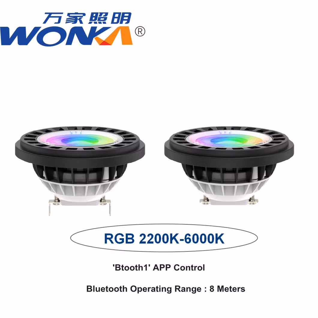 12V AC/DC RGB PAR36 Light Bulb for Outdoor Landscape Lighting