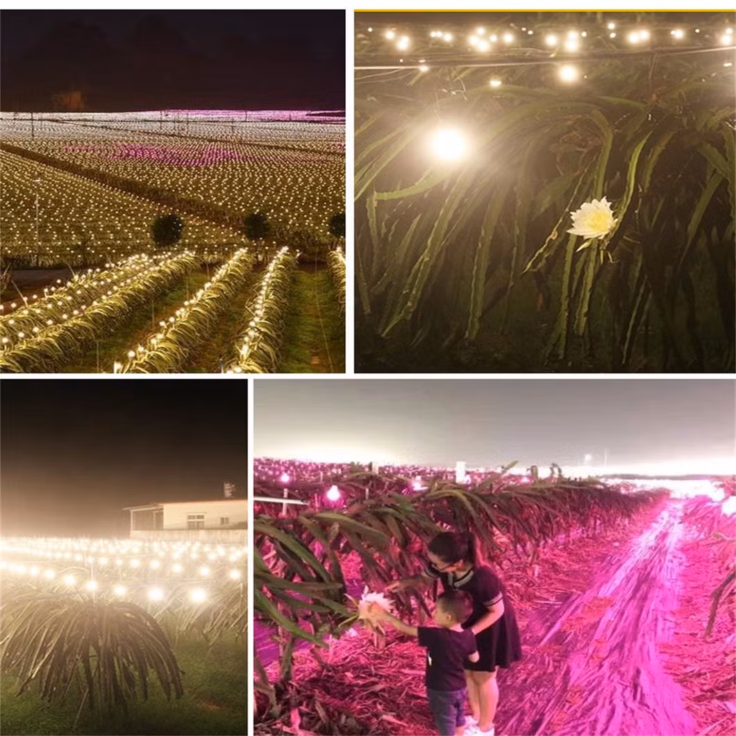 Daylight LED Plant Light Bulb with Full Spectrum Ceramic LED Grow Light Bulb