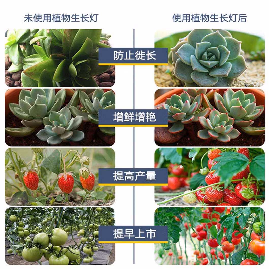 Daylight LED Plant Light Bulb with Full Spectrum Ceramic LED Grow Light Bulb