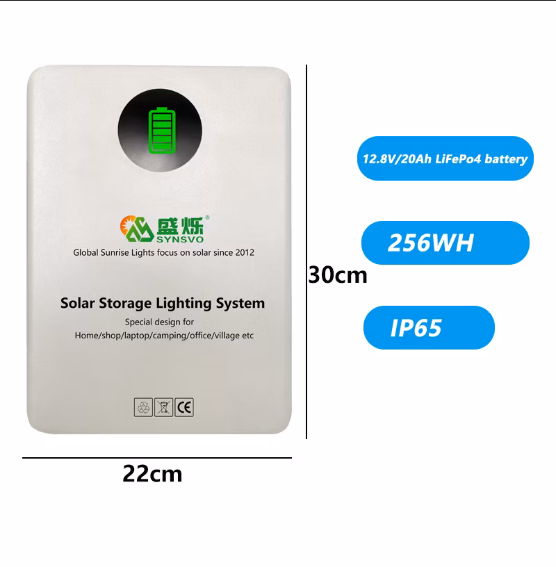 Energy Storage System 300W Generator with Solar Panel Lithium Power Station