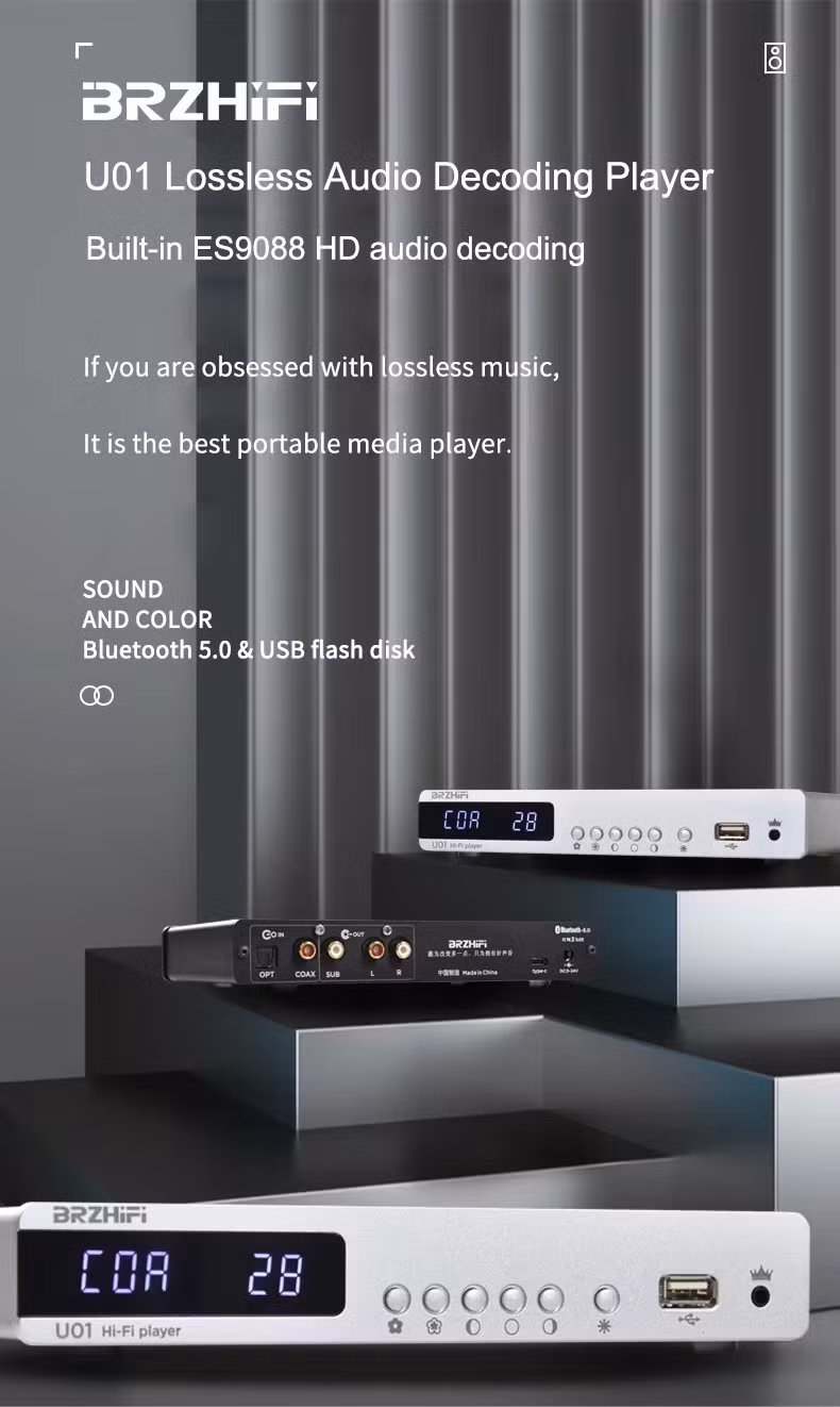 Brzhifi U01 9038 Decoding Home Audio U Disk Digital Turntablemini HiFi Combo DVD Player/Optical/Bt/Mobile Phone APP Player