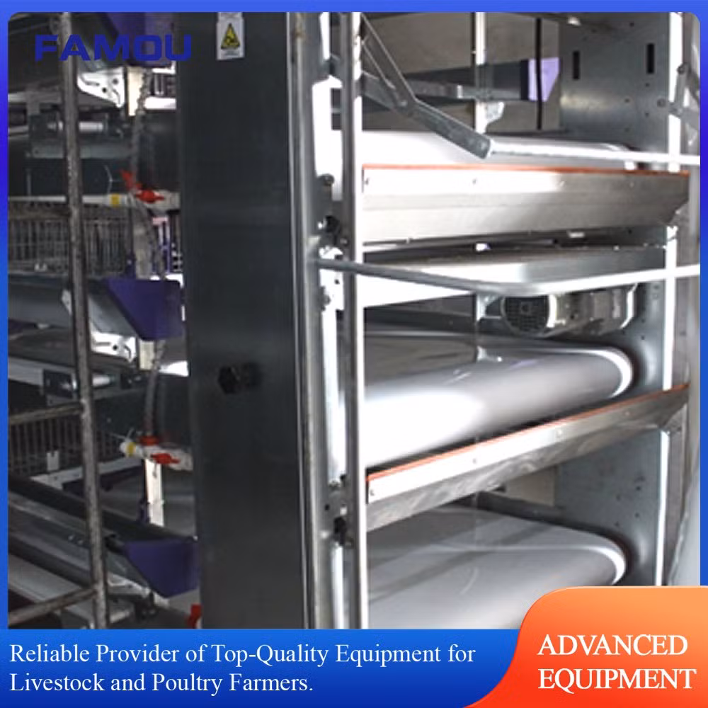 Wholesale Poultry Chicken Farm 100% Pure PP Material Chicken Layer Cage Manure Cleaning Belt Dung Removing Machine for Poultry Broiler Cage Rearing Farm