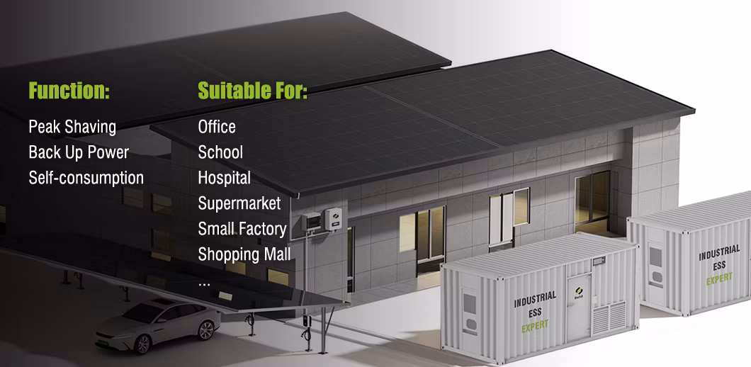 Germany Microgrid Energy Storage Integration 200kw 500kw 1MW 2MW Solar Power System Solar Farm