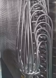 Kinkai 24-Hour Intelligent Corrosion-Resistant Industrial Chili Drying Equipment Color Protection