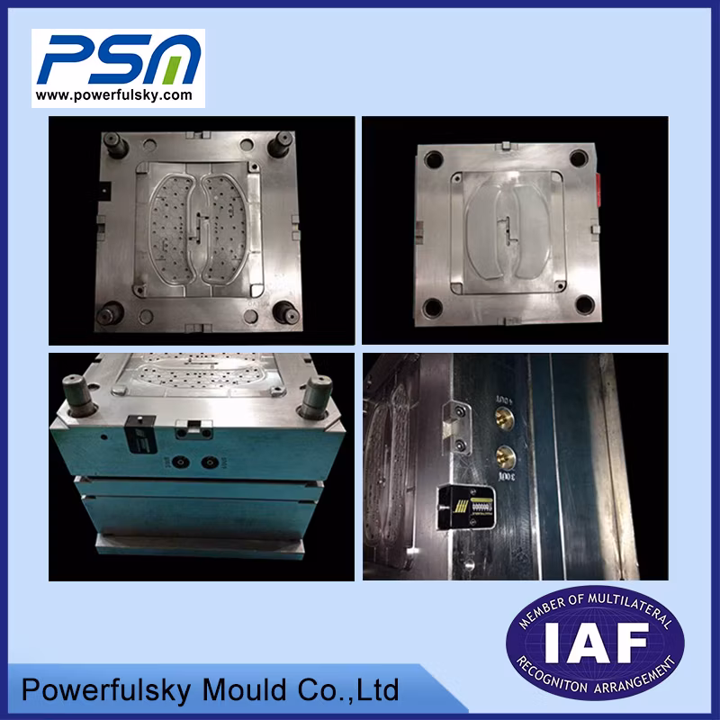 Customized Plastic Mold PVC Moulding Plastic Mould for Plastic Injection Phone Case Mould/Medical Equipment/ Iot Home Automation