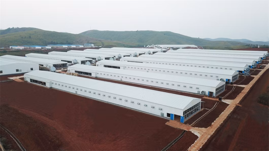 Wholesale Poultry Chicken Farm 100% Pure PP Material Chicken Layer Cage Manure Cleaning Belt Dung Removing Machine for Poultry Broiler Cage Rearing Farm