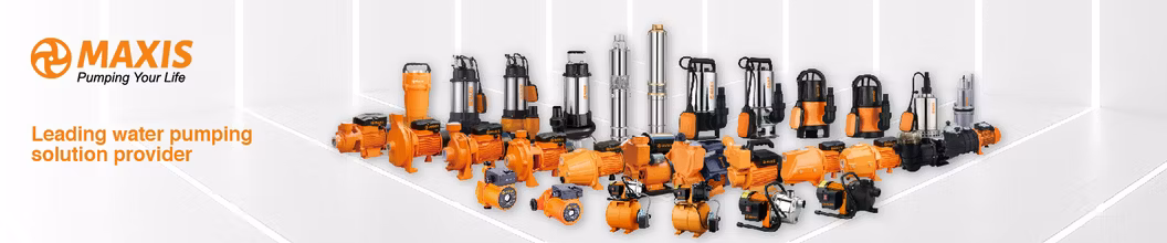0.5HP Iron Cast Standard Electric Household Peripheral Qb60 Series Industrial Centrifugal Pump