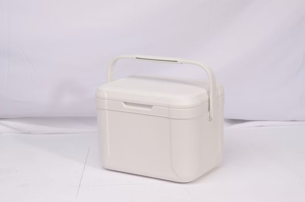 Plastic Insulated Ice Cooler Box 5 Liters Food &amp; Drinks Storage for Camping &amp; Picnic