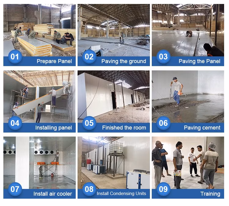 Small Sandwich Panel Freezer Room, Solar Commercial Freezer Refrigerator for Meat