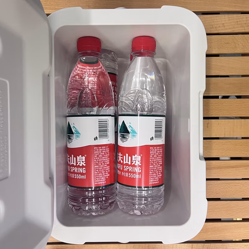 Plastic Insulated Ice Cooler Box 5 Liters Food &amp; Drinks Storage for Camping &amp; Picnic