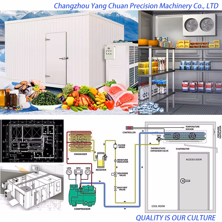 Small Sandwich Panel Freezer Room, Solar Commercial Freezer Refrigerator for Meat