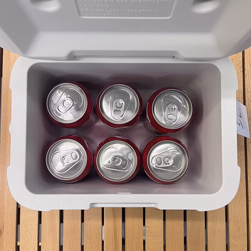 Plastic Insulated Ice Cooler Box 5 Liters Food &amp; Drinks Storage for Camping &amp; Picnic