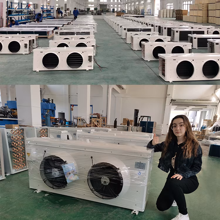 Small Sandwich Panel Freezer Room, Solar Commercial Freezer Refrigerator for Meat