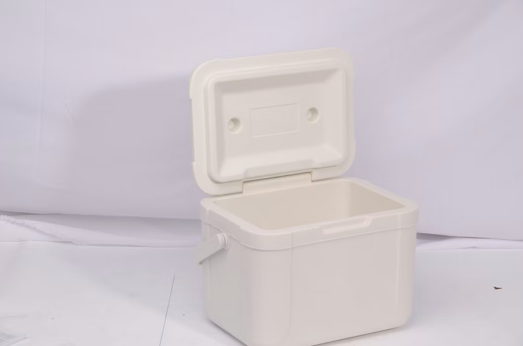Plastic Insulated Ice Cooler Box 5 Liters Food &amp; Drinks Storage for Camping &amp; Picnic