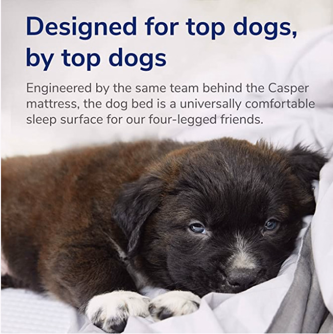 Premium Waterproof Memory Foam Dog Bed with Removable Cover