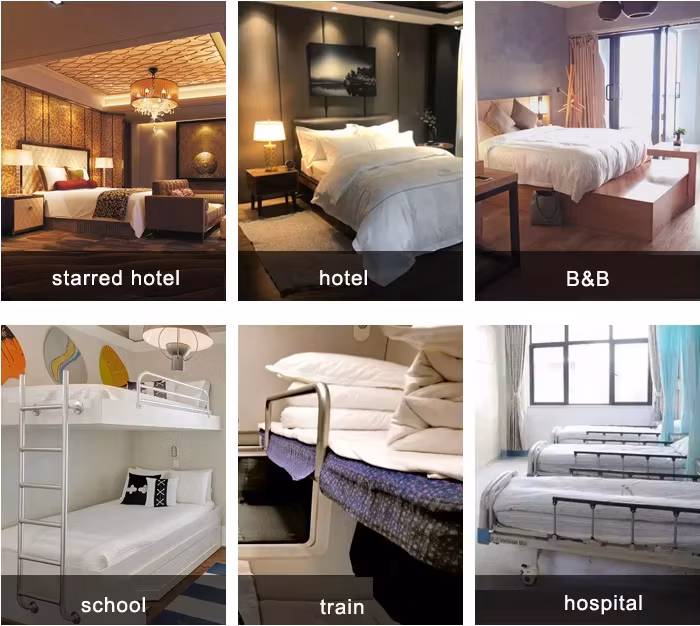 Wholesale Long Staple Customized Embroidery Hotel Quality Duvet Cover and Sheet Set