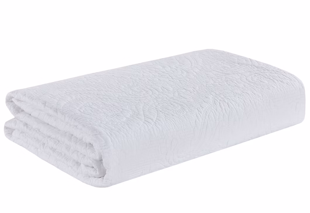 Goose Duck Feathers Down Comforter Duvet for All Season Luxury Home Hotel King Size Bed Quilts