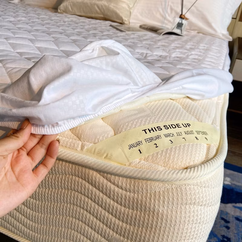 Wholesale Custom High Quality Soft Hotel Bed Cotton Sheet Cover Home Fitted Sheet