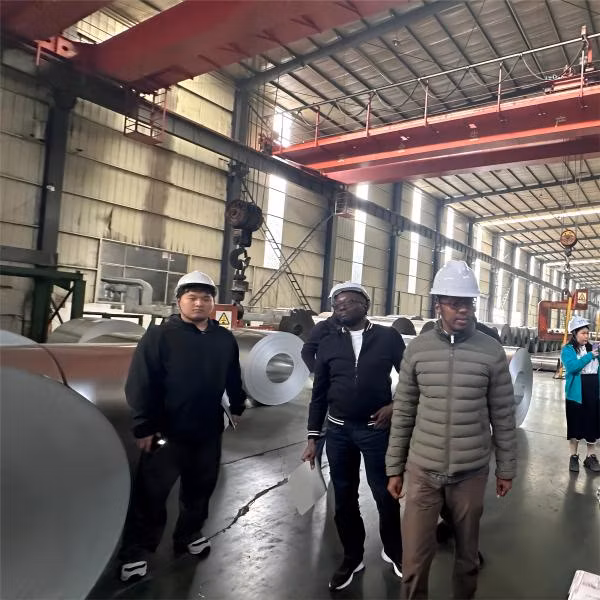 Hot Rolled Galvanized Roof Sheet PPGI Corrugated Roofing Sheet Colour Coated Roofing Sheets