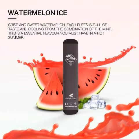 Wholesale Vape Juicy Electronic Cigarette Tugboat V2 400 Puff Bar Disposable Vape