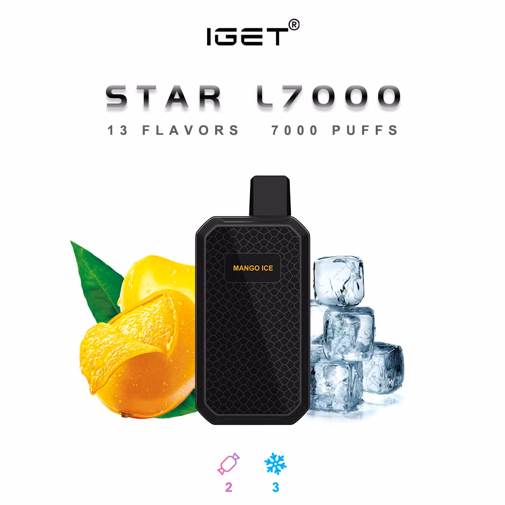 Hot Selling Disposable Vape Shipping 7000 Puffs Highest Quality