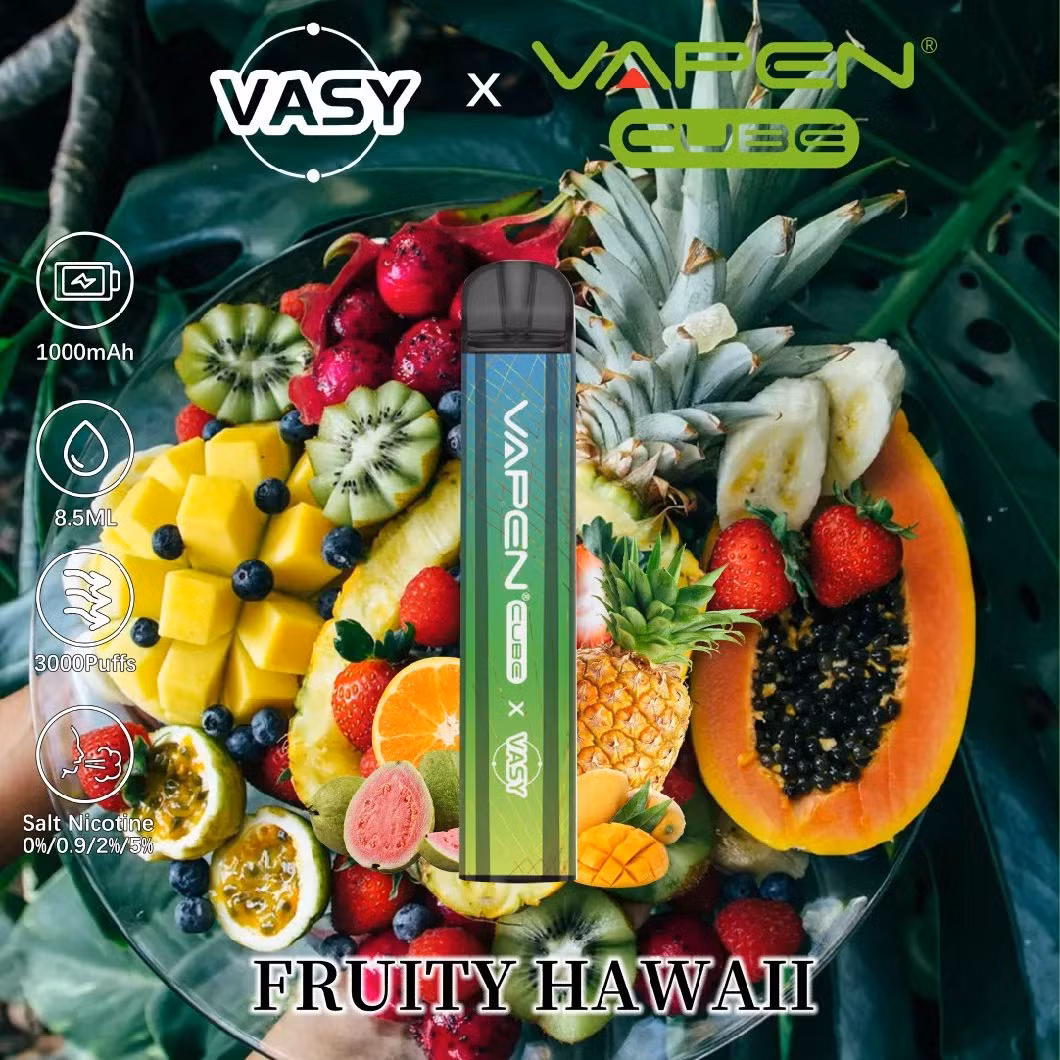 Vasy Cube 3000 Puffs Disposable Vape Wholesale E Cigarette 1000 mAh Battery
