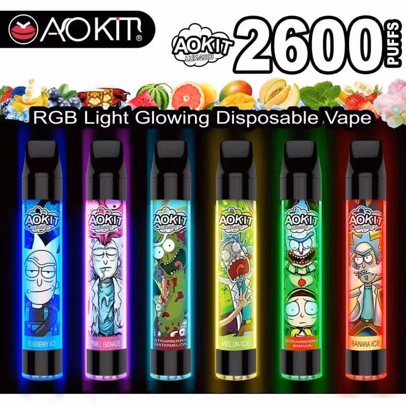 High Quality Lavie 2600 Puffs Juicy Fruit Vape Liquid Vape Cartridge Packaging Vapes Puff Pod Disposable Vapes in Bulk