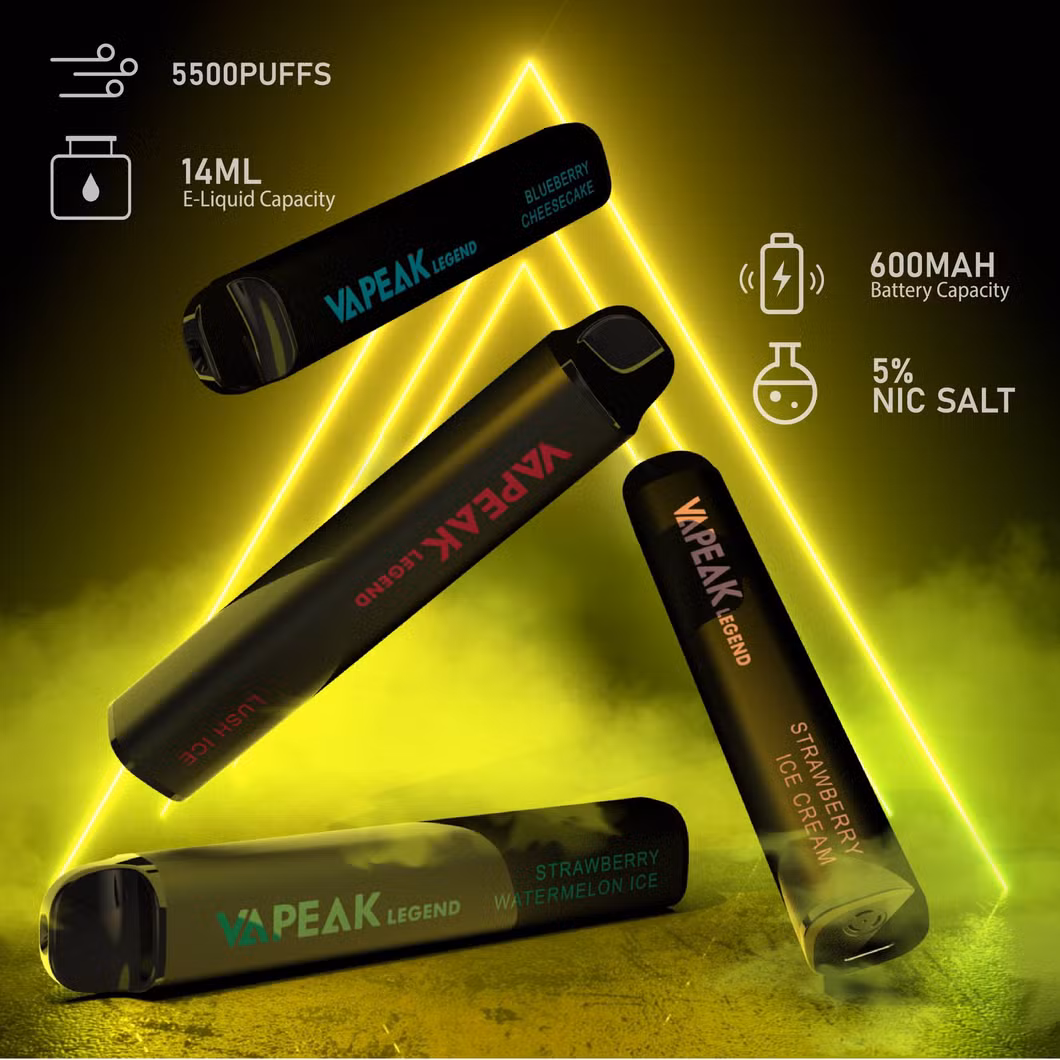 China Factory Wholesale Custom Brand Disposable Vapes Hookah Electronic Smoking