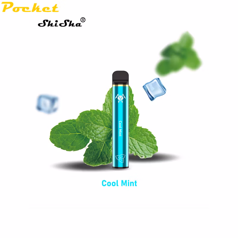 1000 Puffs E-CIGS Factory Price Different Flavors Available Disposable Vape Pen Viciousant