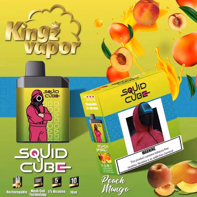 Original Box Shape Mesh Coil Disposable E Cigarette Squid Cube 4000 Puffs Squid Game Disposable Vape with 10 Flavors