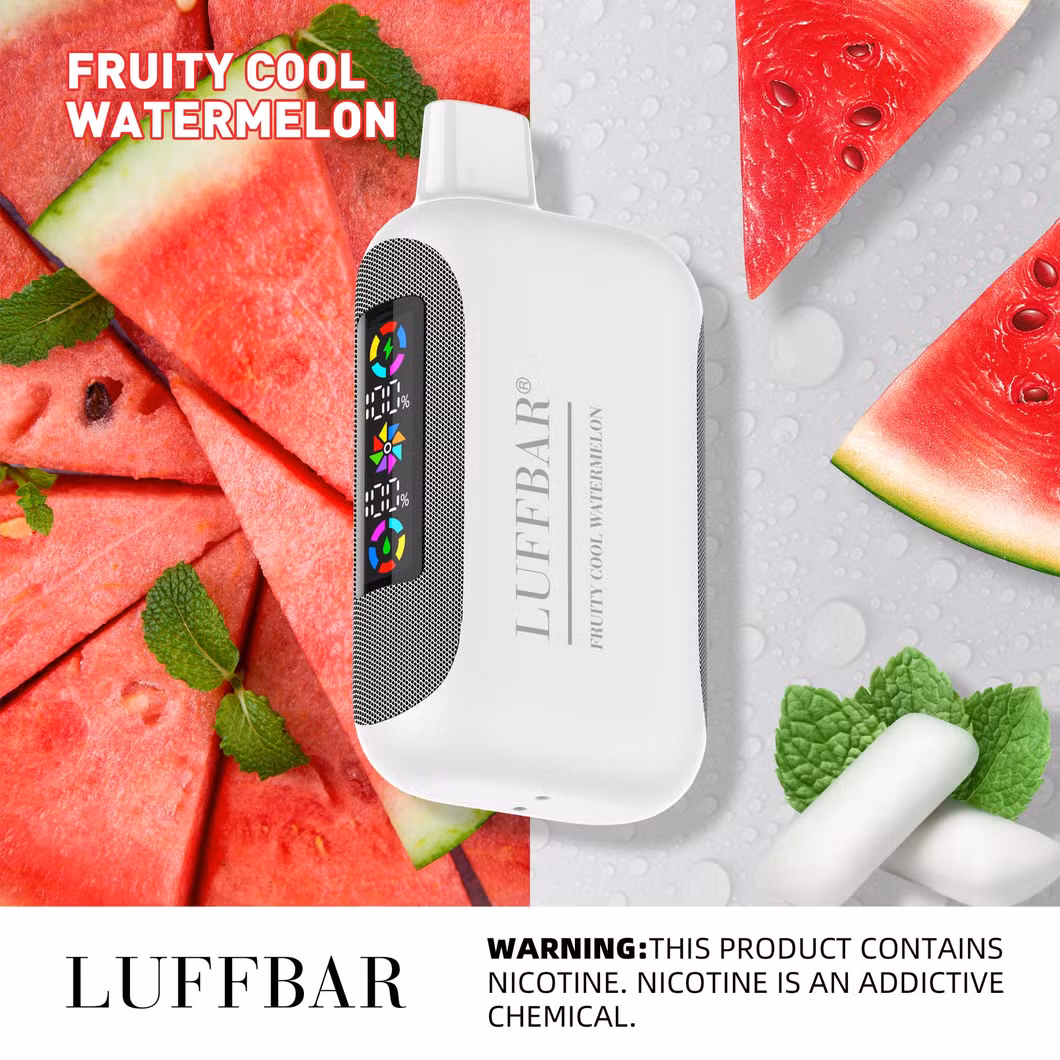 Luffbar Dually 20000 Puff OEM/ODM Zbood Vapmod Future Love 66 Mistery Box Distributors Vaporizer Vape