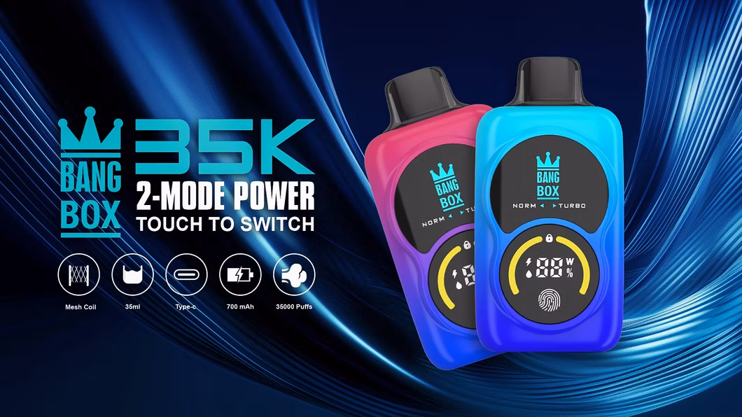 Fashionable Dual Molds Design Small Size Big Vapor Smooth Taste Bang Box 9K-18K Disposable E Cig