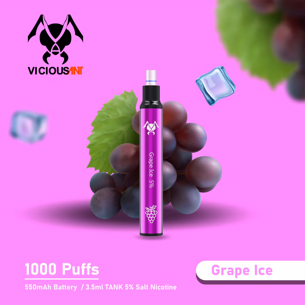 2021 OEM Best Selling 1000 Puffs Starter Kit Disposable Vape Pen Cigarette Vape