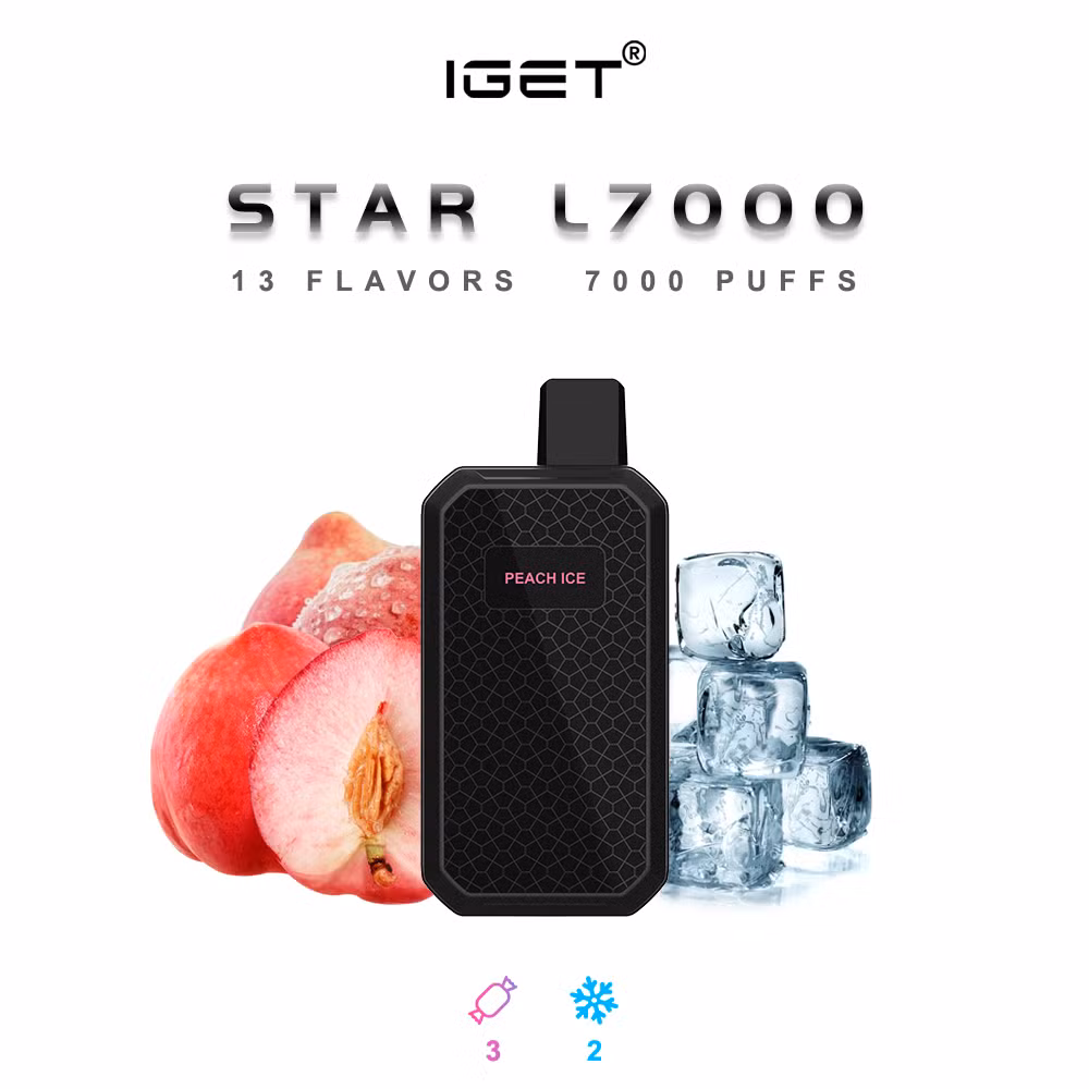Hot Selling Disposable Vape Shipping 7000 Puffs Highest Quality