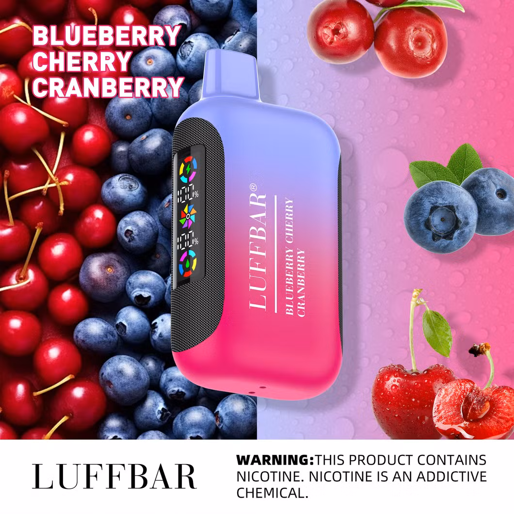 Luffbar Dually 20000 Puff OEM/ODM Zbood Vapmod Future Love 66 Mistery Box Distributors Vaporizer Vape