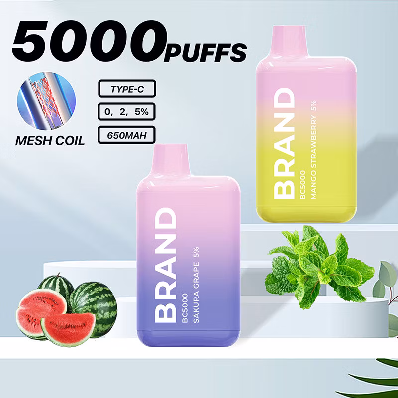 2024 Hidi Hot Wholesale OEM ODM Rechargeable 12 Flavors 5000 Puff Vape	Vape Mini Cup