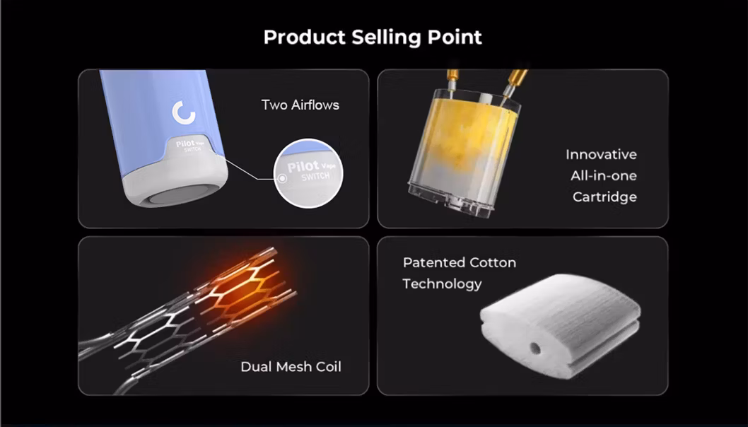 Wholesale Vape Cks Pilot 25000 20000 Puff Vape EU Warehouse Shisha Hookah Nicotine Pouch Wholesale Vape