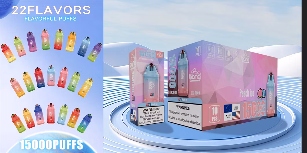 Vaper Desechable Ecigs Electric Cigarette Bang 15000 Puff Disposable Vape Vaporizer